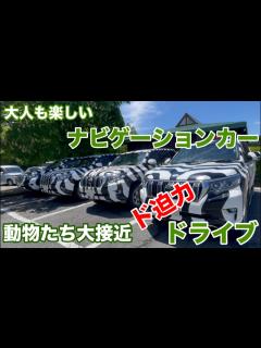 [画像][x]【ナビゲーションカーで動物達に大接近 大人も楽しめるド迫力ドライブ】富士サファリパークと沼津港 車中泊ドライブ① - YouTube 余白なし