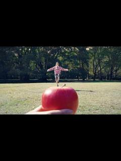 [画像][x]秦 基博×草野マサムネ「ringo」Music Video Teaser - YouTube 余白なし