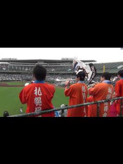 [画像][x]2016.6.25 北海道日本ハムファイターズ 試合前1-9 - YouTube 余白なし