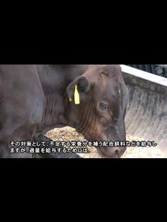 [画像][x]スマート農業推進フォーラム2020（～放牧子牛の成長を見える化する～自動体重計測システム） - YouTube 余白なし