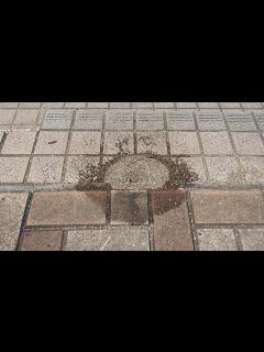[画像][x]あれを吹くだけ。即効かんたんアリ対策！ - YouTube 余白なし