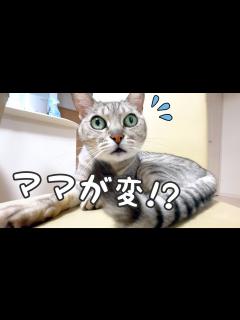 [画像][x]ママがおかしくなった！？ - YouTube 余白なし