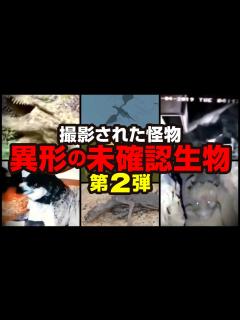 [画像][x]撮影された怪物 異形の未確認生物 第2弾 - YouTube 余白なし