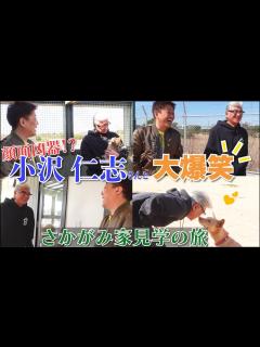 [画像][x]顔面凶器、小沢仁志さんとの大爆笑さかがみ家旅 - YouTube 余白なし