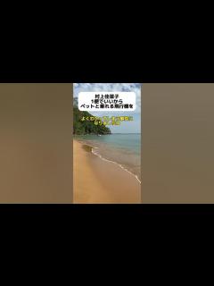 [画像][x]村上佳菜子、ペットと乗れる飛行機を作って欲しい… #shorts - YouTube 余白なし