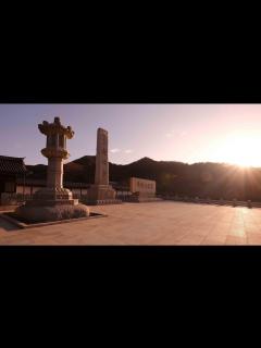 [画像][x]佛教之王堂の四季 念佛宗総本山無量壽寺 インスタグラム1月まとめ The Royal Grand Hall of Buddhism ... 余白なし