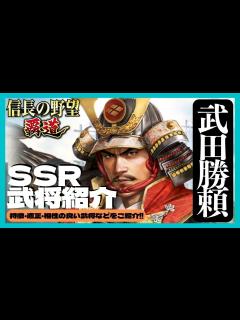 [画像][x]【信長の野望 覇道】(シーズン1 乱世の幕開け) SSR武将紹介 武田勝頼 特徴･適正･相性の良い武将をご紹介 (初見・初心者・育成・おすすめ ... 余白なし