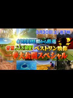 [画像][x]『世界ふしぎ発見!』3/30(土) ベストワン映像 一挙大公開！最終回3時間SP!!【TBS】 - YouTube 余白なし