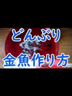 [画像][x]”2020年度版”百均で【どんぶり金魚】 - YouTube 余白なし