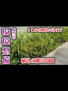 [画像][x]植え込みから生える雑草をキレイにする為の解決策とは？【庭師が解説】 - YouTube 余白なし