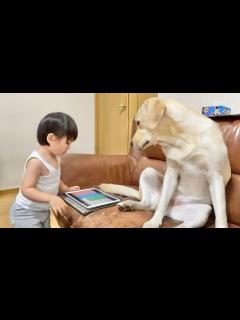 [画像][x]本日も相変わらずの次女vs三女、長女&三女であった。 - YouTube 余白なし
