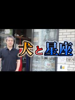 [画像][x]犬の性格と星座の関係 #内海聡 #悪阻 【世界一嫌われ医者】 - YouTube 余白なし