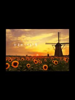 [画像][x]ひまわりの約束 / 秦基博 (cover) - YouTube 余白なし