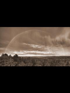 [画像][x]RAIN - SEKAI NO OWARI（フル）メアリと魔女の花 - YouTube 余白なし