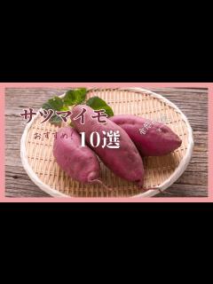 [画像][x]代表的なサツマイモの種類6選！甘さと食感で選ぶ品種一覧をご紹介 - YouTube 余白なし