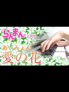 [画像][x]愛の花：あいみょん（NHK連続テレビ小説「らんまん」主題歌）【ピアノ・ソロ】 - YouTube 余白なし