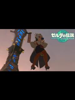 [画像][x]プルアのパンツに不法侵入【ゼルダの伝説ティアーズオブザキングダム ティアキン】 - YouTube 余白なし