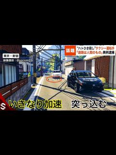 [画像][x]“ハトひき殺し”タクシー運転手逮捕「道路は人間のもの」…国民は逮捕恐れブレーキ強化が流行へ【GTA5 余白なし