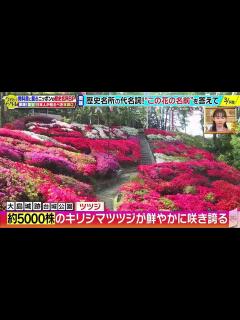 [画像][x]今夜はナゾトレ 2023年1月31日 新レギュラー戸次重幸加入！日本の歴史名所SP part 1/1 - 動画 Dailymotion 余白なし