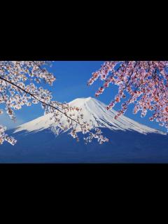 [画像][x]日本六日游多少钱_中航国旅官网 余白なし