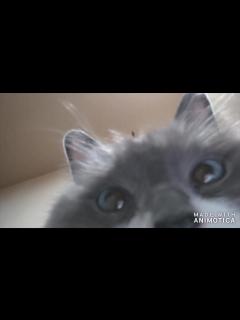 [画像][x]おわかりいただけただろうか - ニコニコ動画 余白なし