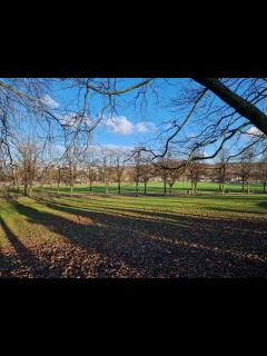 [画像][x]How Hillsborough Park looks now, four months after Tramlines 余白なし