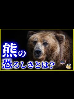 [画像][x]【ゆっくり解説】日本に生息する「クマ」の生態と恐るべき能力とは？を解説/熊の学習能力と身体能力 - YouTube 余白なし