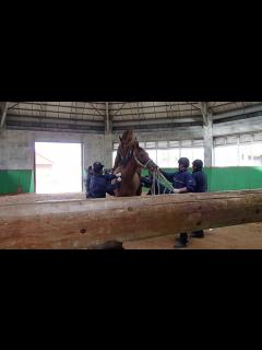 [画像][x]種付け Mating - YouTube 余白なし