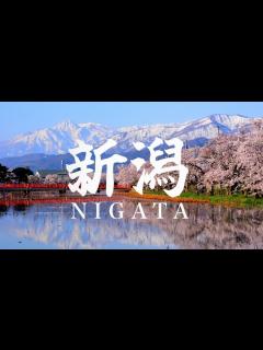 [画像][x]絶対に行きたい観光地5選 - YouTube 余白なし