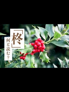 [画像][x]クリスマス飾りに☆柊（ひいらぎ）の葉の折り方[Origami]Hiiragi 冬のおりがみ - YouTube 余白なし