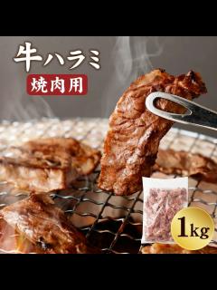 [画像][x]演奏写真ハラミちゃん🍖🎹日比谷音楽祭での共演♪ / お米🍚編集 - YouTube 余白なし