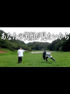 [画像][x]これを見たら、"元気"になります - YouTube 余白なし