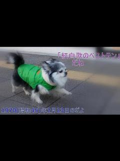 [画像][x]NTV紅白歌のベストテン 1970(昭和45)年2月23日 生放送 いしだあゆみ 堺正章 音声のみ - YouTube 余白なし