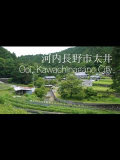 [画像][x]河内長野市 太井から小深 春の風景【田舎散歩】(大阪府)Spring scenery from Ooi to Kobuka ... 余白なし