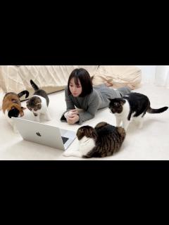 [画像][x]猫の大好きなアニメをみんなで見てみたら最高でしたw - YouTube 余白なし