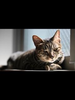 [画像][x]皆様にお願いがあります。 - YouTube 余白なし