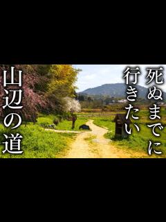 [画像][x]【日本最古の道】山の辺の道、春の絶景スポット 24選｜天理→大神神社 - JAPAN in 8K - YouTube 余白なし