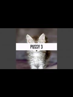 [画像][x]Pussy 3 - YouTube 余白なし