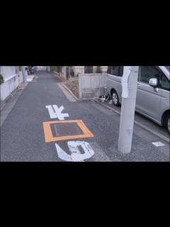 [画像][x]そして、一人ぼっちになった😿 - YouTube 余白なし