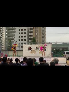 [画像][x]秋華祭(神戸市中央区）サンバ Escola De Samba KOBECCO ① - YouTube 余白なし