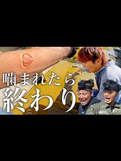 [画像][x]噛まれたら終わり…養殖場の砂に潜む生物を捕まえろ！ - YouTube 余白なし