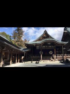[画像][x]Ise Grand Shrine - YouTube 余白なし