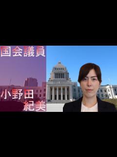 [画像][x][国会議員] 小野田 紀美 解説 - YouTube 余白なし