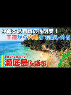 [画像][x]【瀬底島/沖縄】沖縄本島有数の透明度を誇る島を散策【観光•旅行ガイド】 - YouTube 余白なし