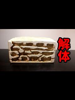 [画像][x]【アリの飼育記2冊目#28】3年使ったアリの巣を解体してみた結果 - YouTube 余白なし