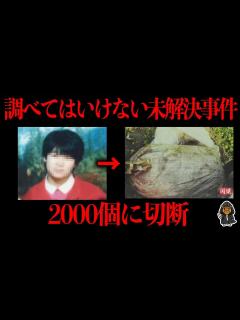 [画像][x]この未解決事件に深入りしてはいけない - YouTube 余白なし