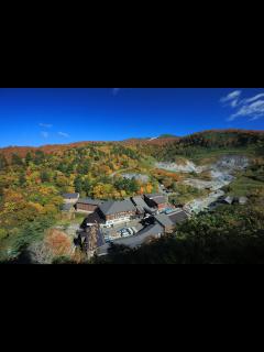 [画像][x]秋田県の山奥に湧く唯一無二の温泉「玉川温泉」｜東北旅行・鉄道で行く、東北の旅｜日本の旅、鉄道の旅（JR東日本びゅうツーリズム＆セールス） 余白なし