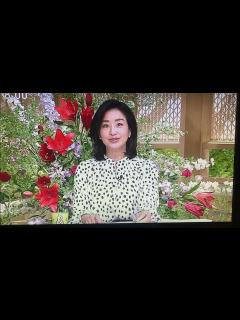 [画像][x]📺TBS サンデーモーニング 膳場貴子さん 落ち着いた オープニング 2024年5月26日 - YouTube 余白なし
