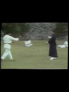 [画像][x]本部御殿手の取手 - Motobu Udundi Tuiti - - YouTube 余白なし