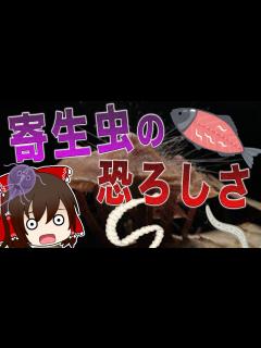 [画像][x]気付かぬうちに虫が体内に寄生...寄生虫がやばすぎる... 【ゆっくり解説】 - YouTube 余白なし